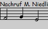 Nachruf M. Niedling