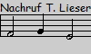 Nachruf T. Lieser